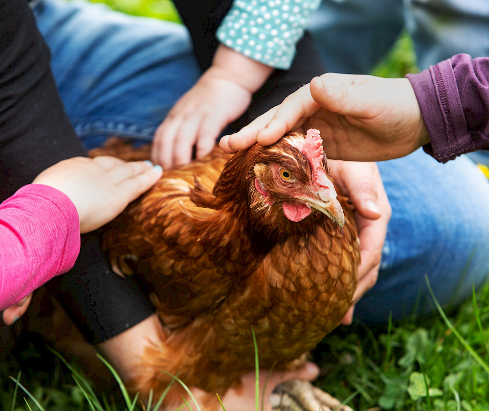 © Naturgarten Schönegge