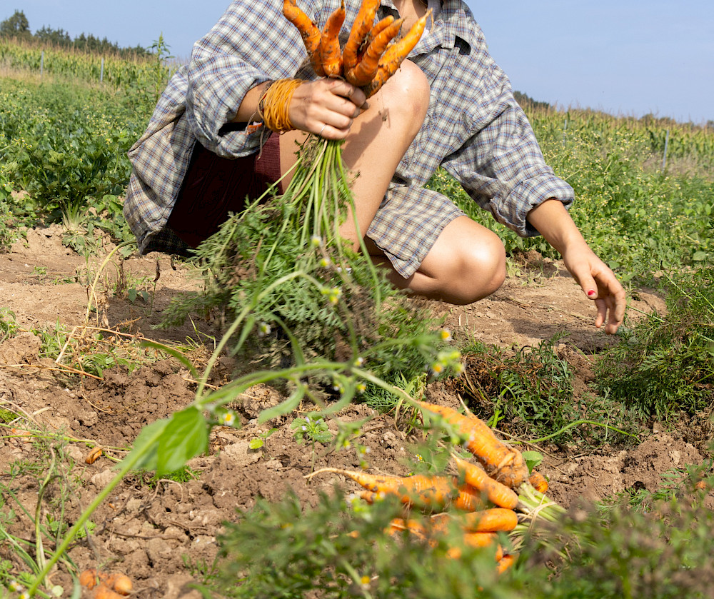 © Naturgarten Schönegge