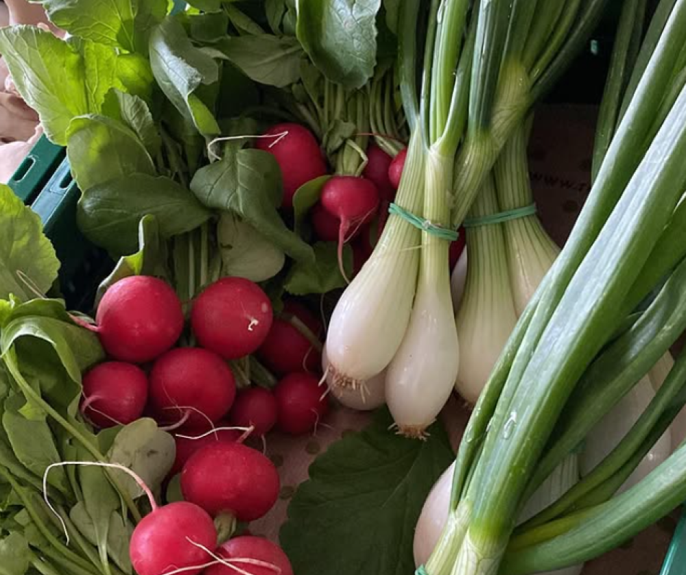 © LudwigsMarkt Naturkost